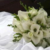 Weddings