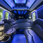 TLS_Van_Mercedes-Sprinter-gray-interior-1